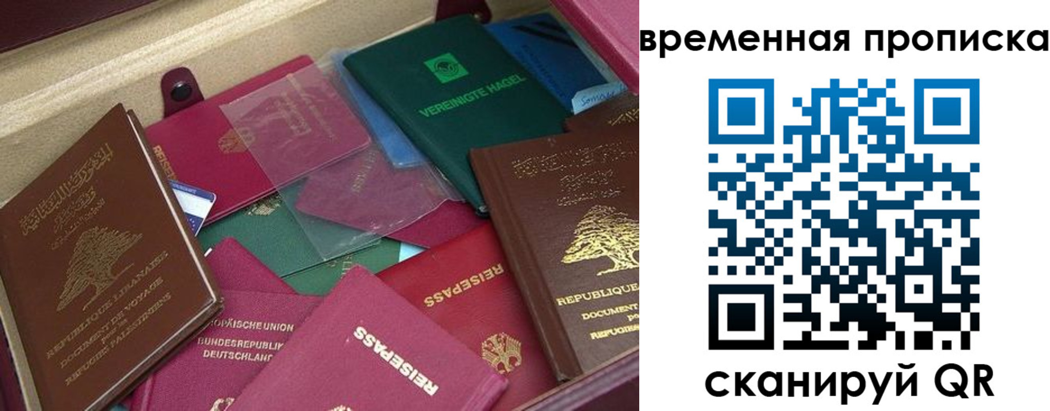 прописка в Кимовске